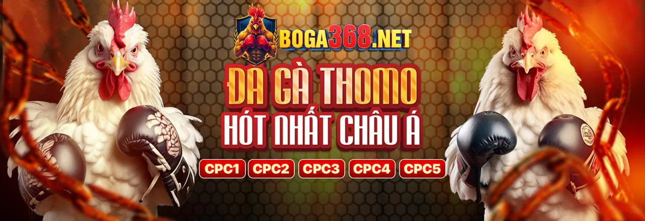Hướng dẫn và mẹo cá cược đá gà trực tuyến
